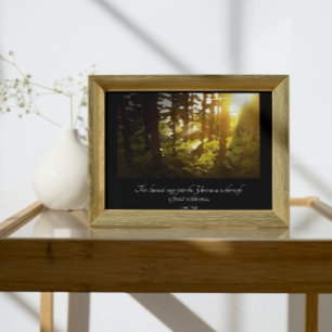 Universe Forest Muir Quote Poster