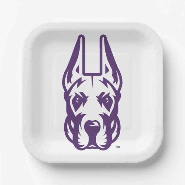 University at Albany Great Dane Mascot Head Paper Plate (Front)