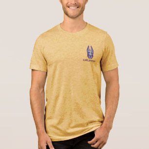 University at Albany Great Danes Tri-Blend Shirt