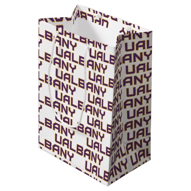 University at Albany Wordmark Medium Gift Bag (Front Angled)