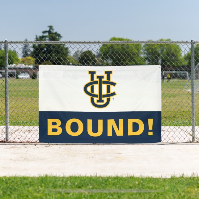 University of California, Irvine Logo Banner (Insitu)