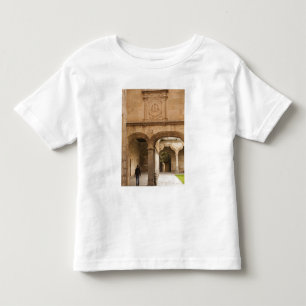 University of Salamanca Toddler T-Shirt