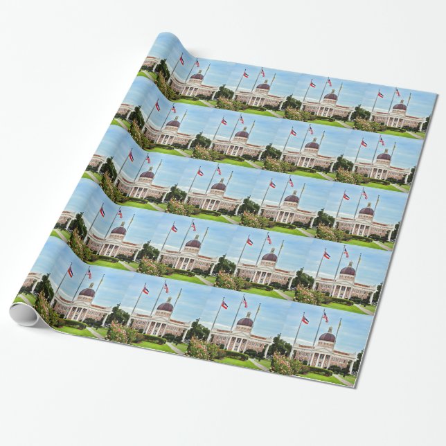 University of Southern Mississippi Wrapping Paper (Unrolled)