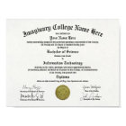 University or College Diploma Replica Art