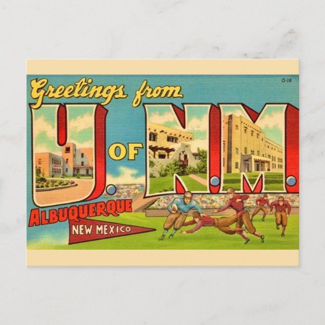 Universty of New Mexico Vintage Postcard (Front)