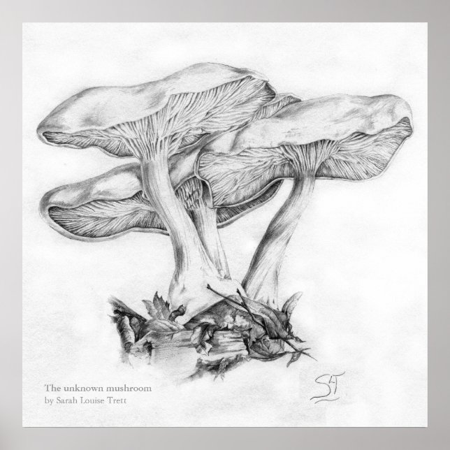 Unknown mushroom pencil  illustration square print (Front)