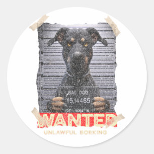 Unlawful Barking: The Doberman's Stern Warning Classic Round Sticker