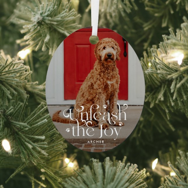 Unleash the Joy Pet Blue Holiday Metal Ornament (Insitu)