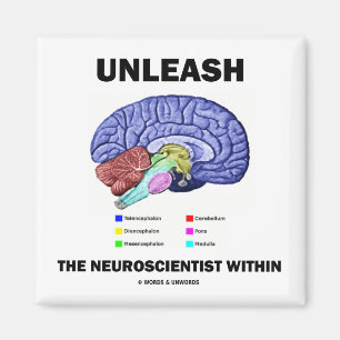 Unleash The Neuroscientist Within (Brain Anatomy) Magnet