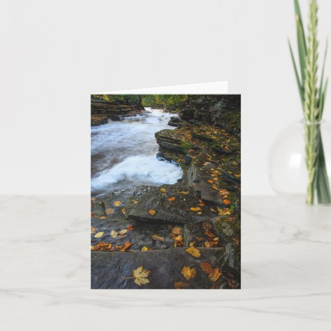 Unleashed Card (Front)