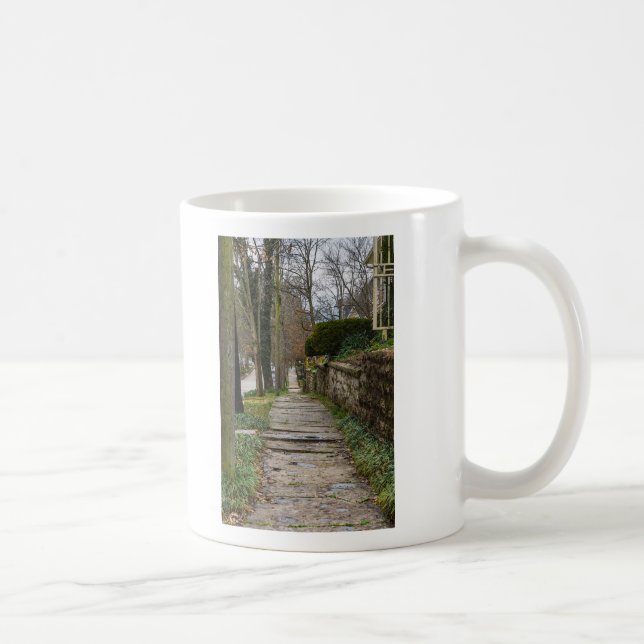 Unlevel Pathway Coffee Mug (Right)