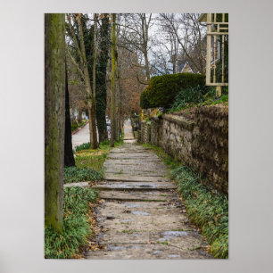 Unlevel Pathway Poster
