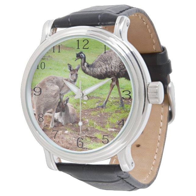 Unlikely Pals: Australian Kangaroo And Emu,  Watch (Angled)