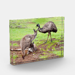 "Unlikely Pals: The Kangaroo and Emu Friendship" Photo Block