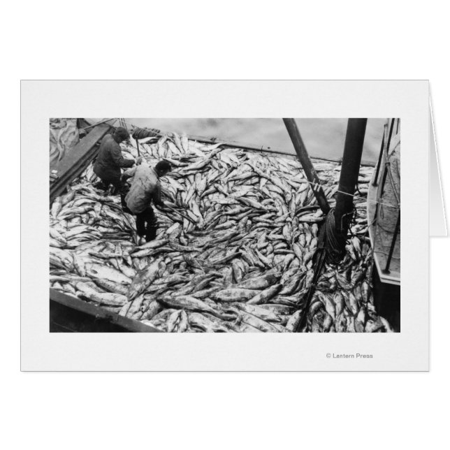 Unloading Salmon from Fishing Boats Photograph (Front Horizontal)