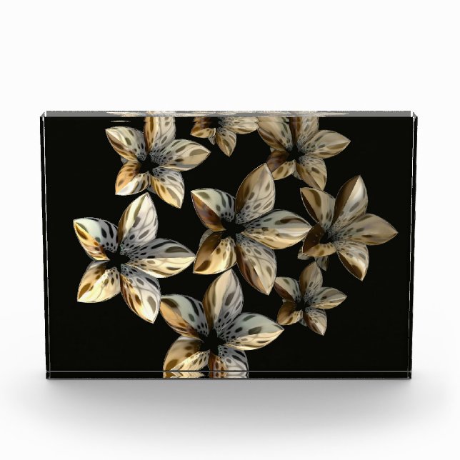 Unnatural Beauty Photo Block (Front)