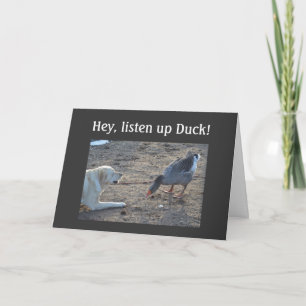 UNRULY DUCK OVER THE HILL CARD