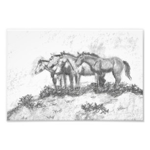 Untamed Photo Print
