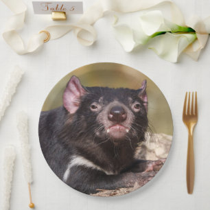 Untamed Spirit Tasmanian Devil Paper Plate