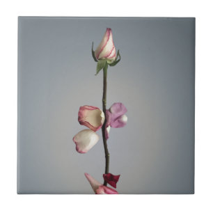 Until the last petal... ceramic tile