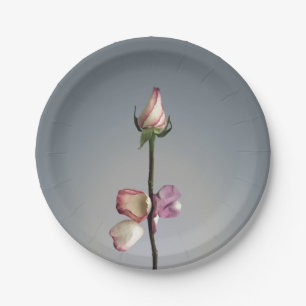 Until the last petal... paper plate
