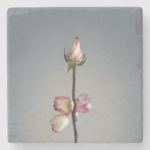 Until the last petal... stone coaster