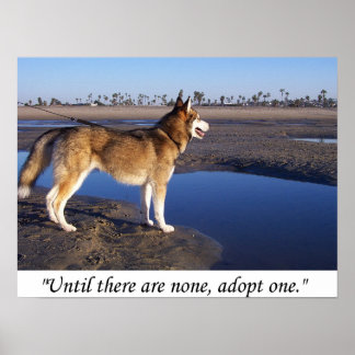 Until there are none, adopt one poster