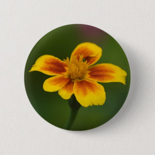 Untitled Button