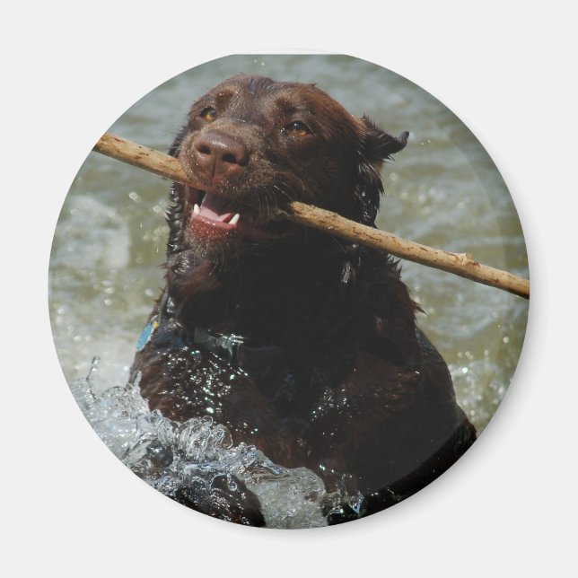 Untitled Magnet (Front)