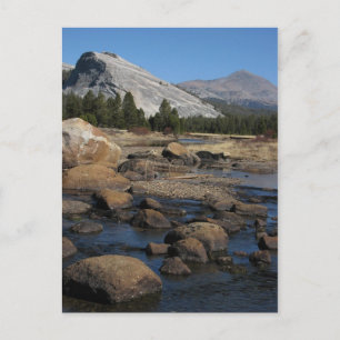 Untitled Postcard