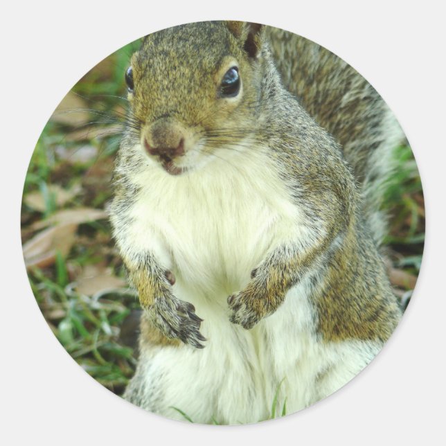 Untitled Sticker (Front)