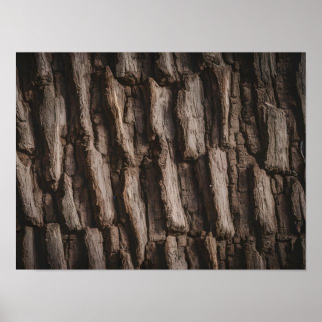 Untreated Natural Tree Bark Texture Poster (Front)