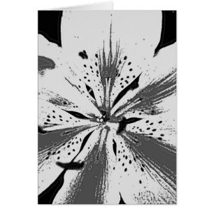 unusual black and white abstract lily flower