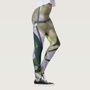 Unusual leggings featuring chain link and a vine
