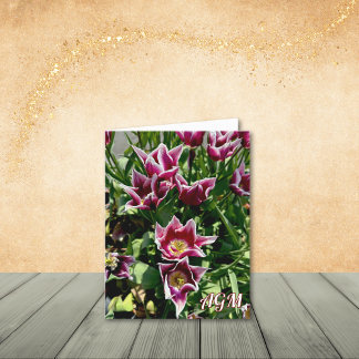 Unusual Purple and White Tulips Note Cards