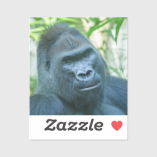 Unwavering Strength Silverback Gorilla Kito