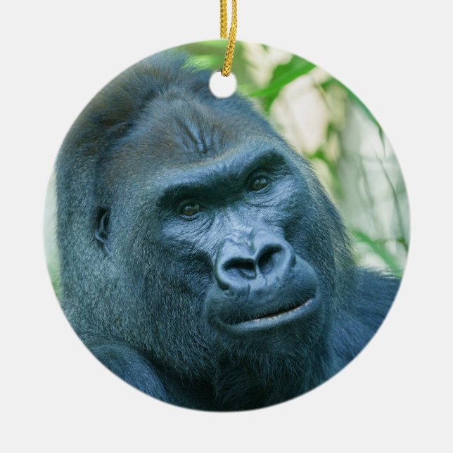 Unwavering Strength Silverback Gorilla Kito Ceramic Ornament (Front)