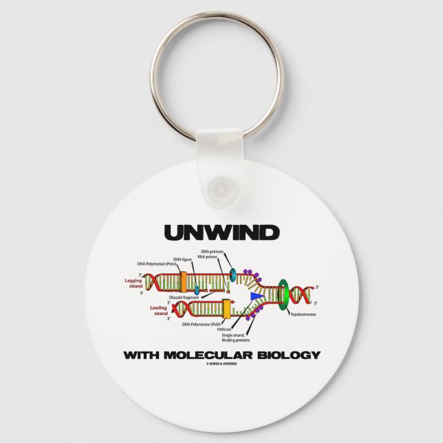 Unwind With Molecular Biology (DNA Replication) Key Ring (Front)