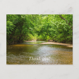 Up A Creek Postcard