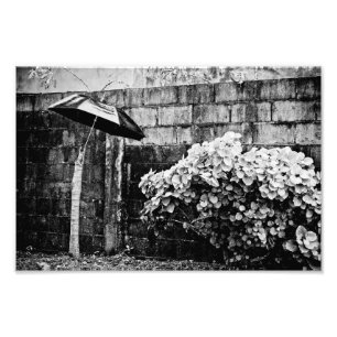 up against the rain photo print