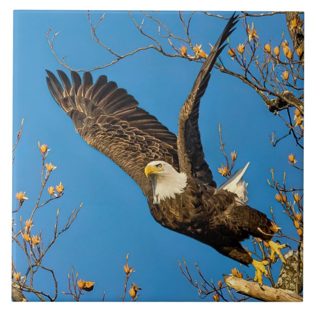 Up And At 'Em Ceramic Tile (Front)