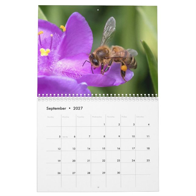 Up Close and Personal with the Bees Photo   Calendar (Sep 2027)