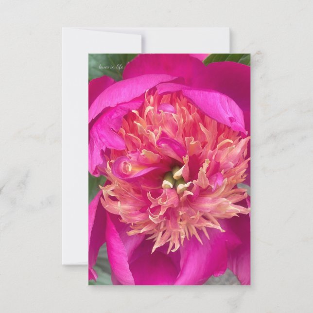 Up-close Hot Pink Peony Card (Front)