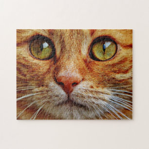 Up Close of Orange Tabby Cat Eyes Jigsaw Puzzle