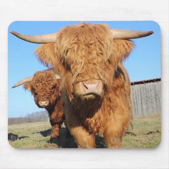 Up Close of Scottish Highland Cows Mouse Pad (Front)