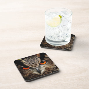Up Close Owl with Orange Eyes Coaster