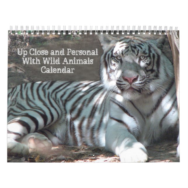 Up Close Wildlife Calendar (Cover)