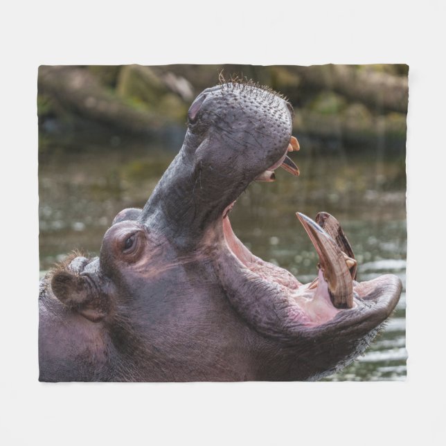 Up Close with a Hippo: Teeth on Display Fleece Blanket (Front (Horizontal))