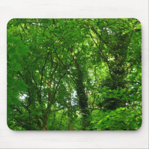 Up in the Trees Mouse Pad