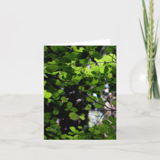 Up in the Trees Note Card